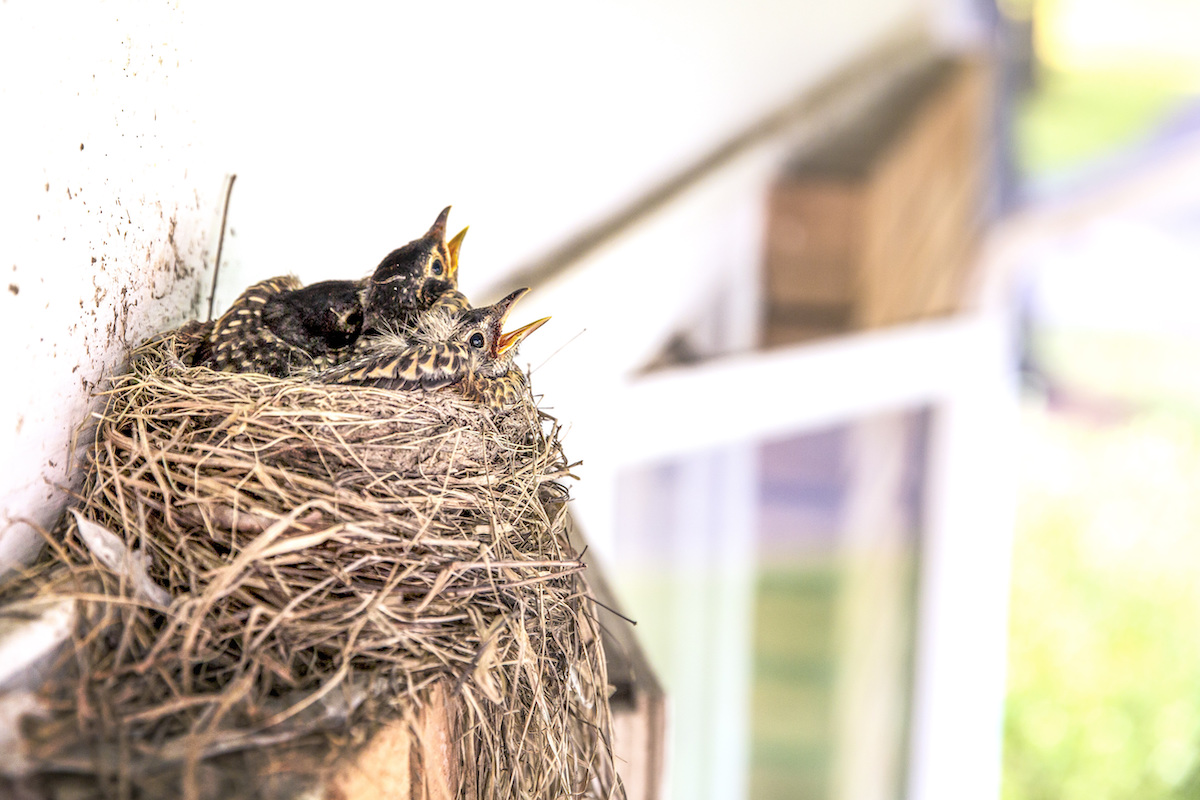 To the new moms who will struggle to have their next